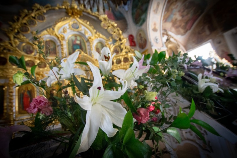 Поздравление Первоиерарха в день его рождения.